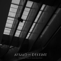 Rotten Light - Afraid of Destiny