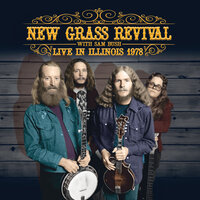 Norwegian Wood - New Grass Revival & Sam Bush