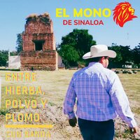 Cuando Miro Tus Ojos Mujer - El Mono de Sinaloa