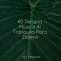 Amanecer Temprano - Música para Massagem Especialistas & Musica Para Meditar & Dormir Sol