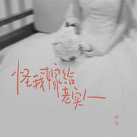 怪我嫁给老实人 - 南乔