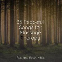 Chats & Laughs - Music For Absolute Sleep & White Noise Sleep Sounds & Easy Sleep Music