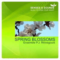 April Sun - Ensemble P.J. Rhinegould