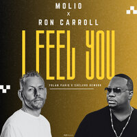 I Feel You - Molio & Ron Carroll