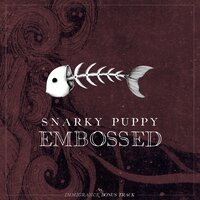 Embossed - Snarky Puppy