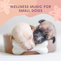 Deep Dream Sleep Music - Music for Dogs Collective