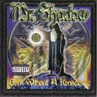 Party Goes On - Mr. Shadow