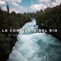 Sonidos Del Caudal De Lluvia - Música para Dormir Con Relajantes Sonidos de la Naturaleza & #Relajante & Academia de Música para Estudiar Fácilmente