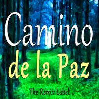 Camino de la Verdad - Luz