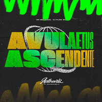 Avulaetus Ascendente - DJ FLOW ZN & Authentic Records & Mc BM Oficial