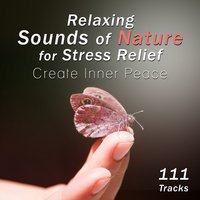 Tranquility - Music to Relax in Free Time