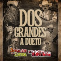 El Niño de La Canasta - El Halcon De La Sierra & El As De La Sierra