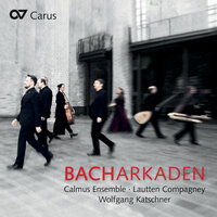 J.S. Bach: Weinen, Klagen, Sorgen, Zagen, Cantata BWV 12 - II. Weinen, Klagen, Sorgen, Zagen - Calmus Ensemble & Lautten Compagney & Wolfgang Katschner & Johann Sebastian Bach