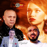 Papusa - Nicolae Guta & Stefan de la Barbulesti & Narcis de la Barbulesti