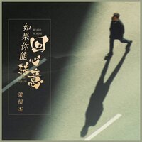 如果你能回心转意 - 梁绍杰 & DJ浩然
