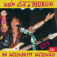 Zamilovanej - Vilem Cok & Delirium