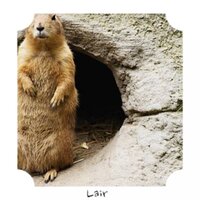 Lair - Brian Davis
