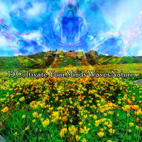 Mother Nature - Nature Sounds for Sleep and Relaxation
