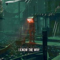 I Know The Why - Michael League
