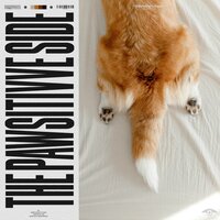 Emotional Rebalancing Therapy - Calming for Dogs