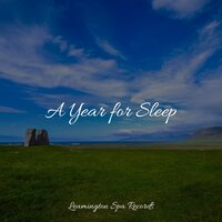 Life Renew - Binaural Creations & Sleep Tight & Academia de Música para Massagem e Relaxamento