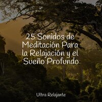Determinación - Musica Relajante Specialistas & Naturaleza & Canciones Infantiles Para Niños
