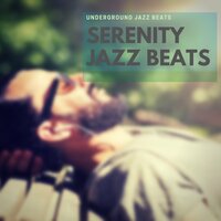 Get Your Snack On (Nu Jazz House) - Underground Jazz Beats