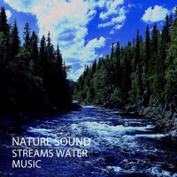 Gentle Stream Sound - Meditation Spa & Dog Music Experience & Cat Music