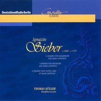 Sonate für Blockflöte und Basso continuo No. 6 in G Minor: II. Allegro - Andre Henrich & Imke David & Thomas Kugler & Wolfgang Kostujak