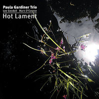 Embrace - Mark O'Connor & Lee Goodall & Paula Gardiner Trio