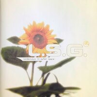 The Hidden Sun Of Venus - L.S.G.