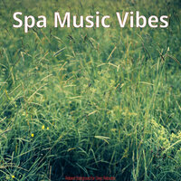 High-class Deep Relaxation - Spa Music Vibes