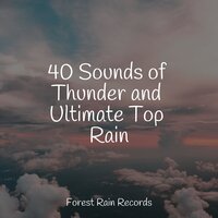 Strong Rain Vietnam - White Noise Sleep Sounds & Reiki Music & Meditative Music Guru