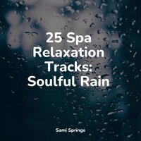 Ocean Waves (Medium) - Nature Sounds for Concentration & Chakra Balancing Sound Therapy & Relaxing Sleep Music