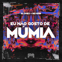 Eu Não Gosto de Múmia [Slowed + Reverb] - MC Toy & DJ BM PROD