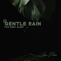 Light Rain on Grass with Trickle - Jane Peace