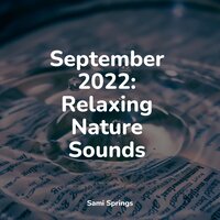 Rainforest Nature Ambience - Meditacao Clube & Relaxing Nature Sounds Collection & Natural Samples