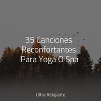 Uno En La Naturaleza - Meditacionessa & Hipnose Natureza Sons Coleção & Massagem Guru