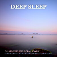Night Sounds - Night Sounds Association & Sleeping Music & Deep Sleep