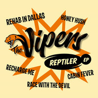 Recharge Me - The Vipers