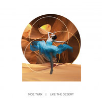 Like The Desert - Moe Turk