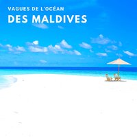 Voyage lent - Zone de la Musique Relaxante