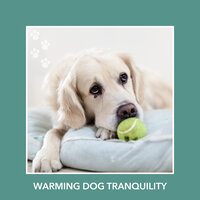 Stars Of Understanding - Dog Chill Out Music