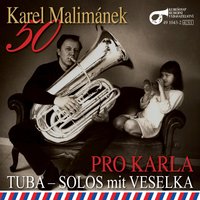 Náš Basista - Ladislav ml. Kubeš & Veselka Ladislava Kubeše & Karel Malimanek & Veselka Ladislava Kubeše, Karel Malimánek, Ladislav ml. Kubeš