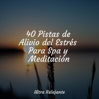 Tonos Del Río - Musica relajante & Sonidos de la Naturaleza para Dormir & Lluvia