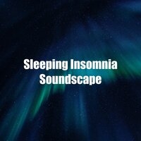 Womb Miracle Sound - Noise Recordings