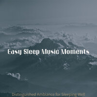 Smooth Deep Sleep - Easy Sleep Music Moments
