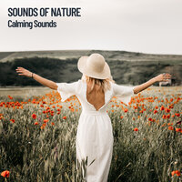 Calming Nature - The Outdoor Library & Brain Timbre & Amazing Spa Experience
