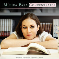 Estudiar música - Sonidos de lluvia - Musica para Concentrarse & Música para Leer & Música de Concentración