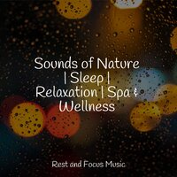 Serenity of Spring Birds - Relaxamento & Life Sounds Nature & Música para Massagem Especialistas